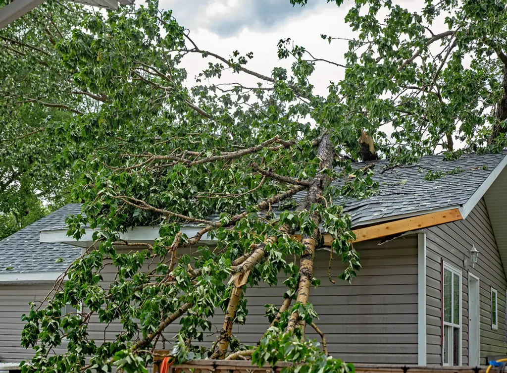 emergency roof repair needed after storm damage springfield il
