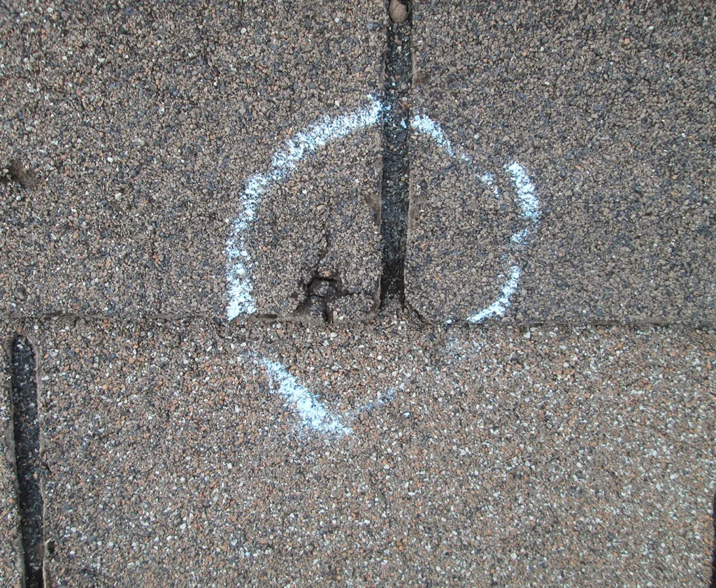hail damaged roof in Springfield IL