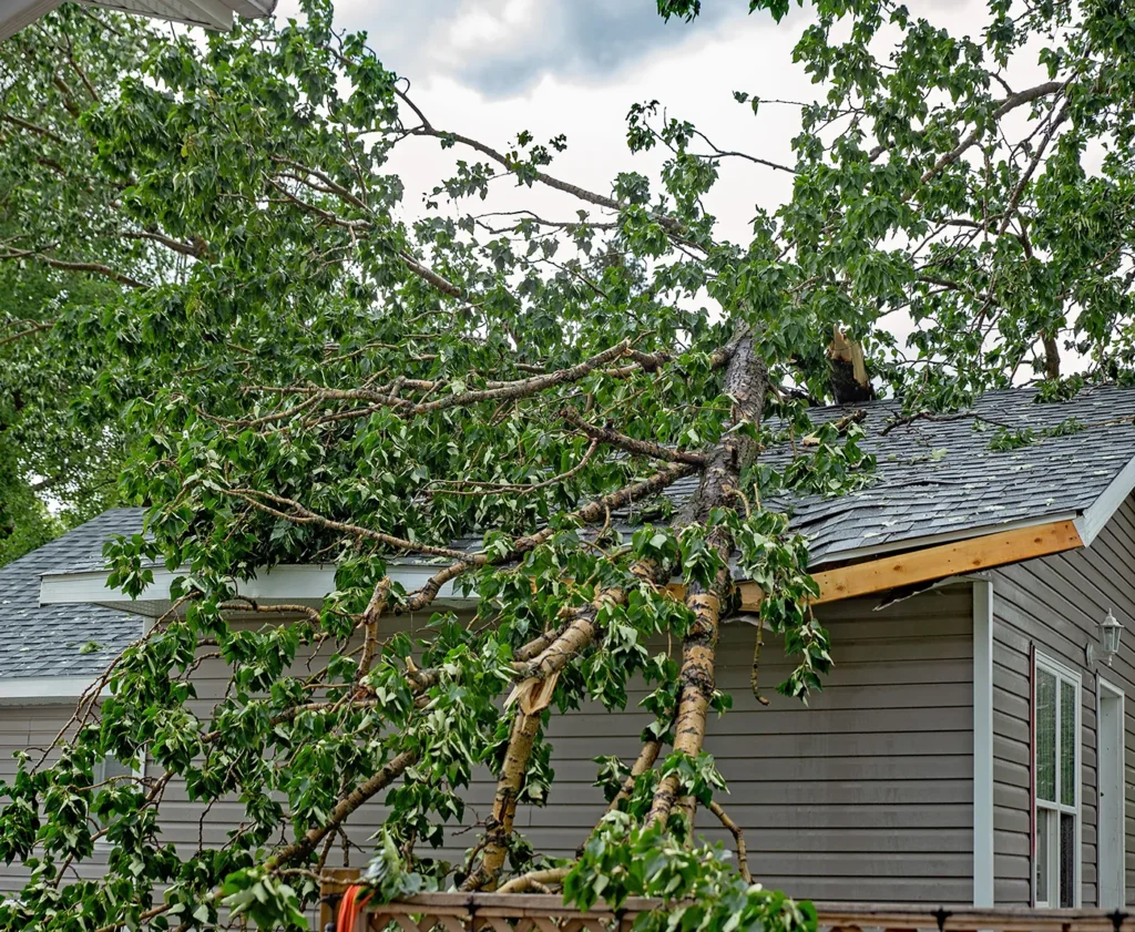Emergency Storm Damage Services for Your Decatur IL Home