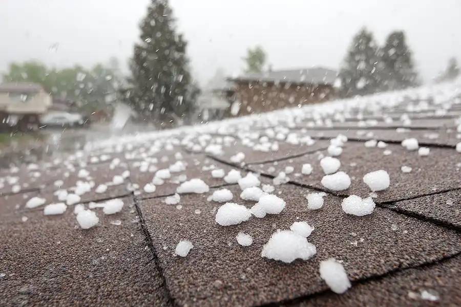 Capital City Roofing & Solar—Large hailstones falling and accumulating on an asphalt shingle roof during a severe summer storm in Central IL.